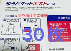 ゆうパケットポストmini 30枚　　ゆうパケットポストミニ封筒　 パケットミニ　匿名配送　折り曲げずにネコポス配送