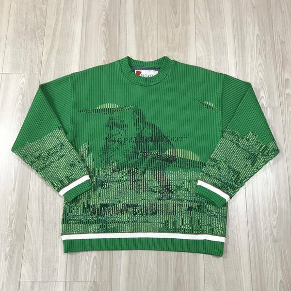 定価39,600 SEVESKIG Adaptive Simulation PO Knit Shirt Big セブシグ グラフィック ジャカード ニット グリーン ジャケット Tシャツ 緑