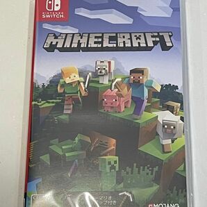 Minecraft Nintendo Switch マインクラフト