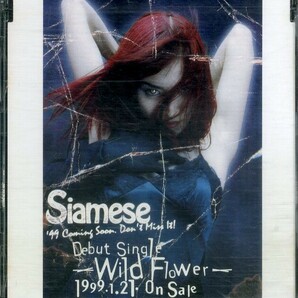 D00142266/CDS/SIAMESE (サイアミーズ・白瀧康太・YOKO)「Wild Flower (1998年・CDES-365)」の画像1