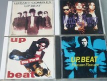 CD UP-BEAT アルバム4枚セット アップビート HERMIT COMPLEX/Weeds & Flowers/Big Thrill/Pleasure Pleasure_画像1