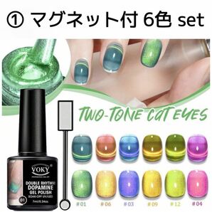 ① VOKY 6色 セット 2wayマグネット キャッツアイジェル ジェル ネイル マグネットジェル シルク プルマグ シルキー 