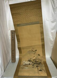 水上恭生年 掛軸 日本画 掛け軸 菊 鳥 花 レトロ 骨董品 美術品 絵画 花鳥 木箱付き 古美術 28-9