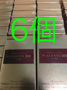[ nationwide free shipping ] placenta 100ko aster to pack 6 box set CORE supplement Ginza stereo fa knee cosmetics R&Y 270000
