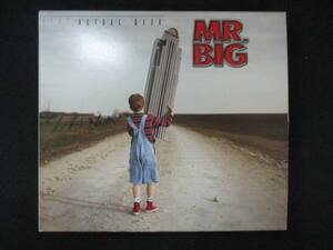 1041 中古＃CD アクチュアル・サイズ/MR.BIG 【歌詞・対訳付】