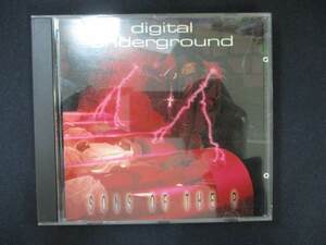 1041 中古＃CD Sons of the P(輸入盤)/Digital Underground