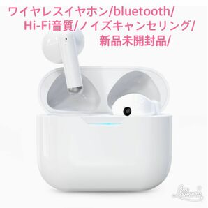 BX09/ワイヤレスイヤホン/BluetoothV5.3/Hi-Fi高音質/ノイズキャンセリング/新品未開封品/