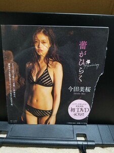 今田美桜 蕾がひらく 週刊プレイボーイ 付録DVD 未開封 包装紙方破れ有り　但し、未開封品！！