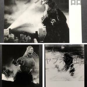 貴重◆映画 ゴジラ GODZILLA 1984年 橋本組 集合写真 合成前 セット 生写真 合計11枚 資料 橋本幸治 中野昭慶の画像6