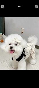 洋服　セパレート　オールインワン犬 白　うさぎ柄　ロンパース　XL