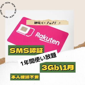 SIM データ 3GB高速データ通信専用 プリペイド SMS受信可 