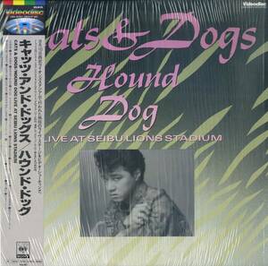 B00181109/LD/ハウンド・ドッグ「キャッツ・アンド・ドッグス」