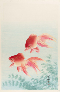 小原古邨　「金魚」　40.8×27ｃｍ　複製　Ohara Koson ◆新版画　川瀬 巴水　吉田博