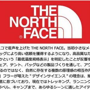 THE NORTH FACE ザ ノースフェイス BOREALIS TOTE BAG ボレアリス トートバック NF0A52SV リュック バックパック 2WAY メンズ レディースの画像6