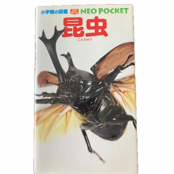 昆虫 （小学館の図鑑ＮＥＯ　ＰＯＣＫＥＴ　１） 小池啓一／指導・執筆　小野展嗣／指導・執筆　町田龍一郎／