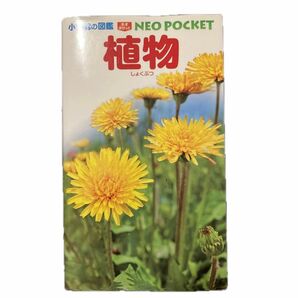 植物 （小学館の図鑑ＮＥＯ　ＰＯＣＫＥＴ　２） 和田浩志／監修・執筆　岡田比呂実／指導・執筆　吹春俊光／指導・執筆