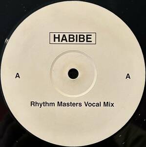 Amr Diab - Habibe (Rhythm Masters Remixes) / スパイシーなシンセやエジプシャン・ヴォーカルで展開するマージナル・ダンス・ナンバー！