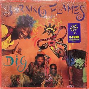 Burning Flames - Dig / 全編にわたり、カリプソ〜レゲエ〜ファンク〜ズーク等を取り入れた陽気なカリビアン・ファンクを展開！