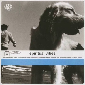 Spiritual Vibes - Spiritual Vibes / ラウンジからダンス・フロアまで対応出来る良曲を多数収録した、海外からの人気も高い傑作アルバム！