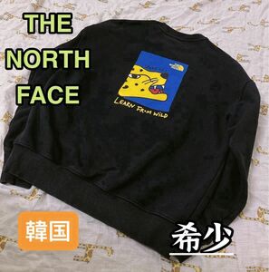 THE NORTH FACE スウェットトレーナー ロゴトレーナー ノースフェイスザノースフェイス 韓国　