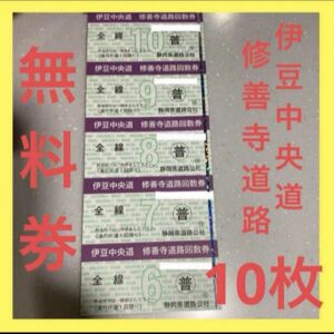 【クーポン使用可能！】【新品】伊豆中央道 修善寺道路通行券【10枚】