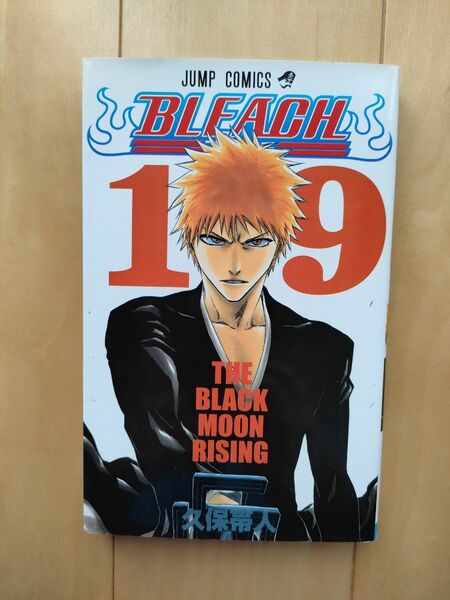 BLEACH ブリーチ 19