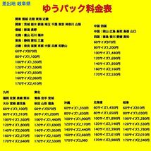 ヤマハ YB-1 F5B 取り外し シフトペダル 管理番号P3026_画像3