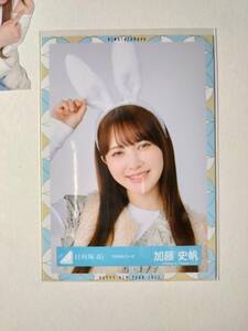 【加藤史帆】【検品済】うさみみコーデ　より【まとめ発送可】日向坂46 生写真 グッズ