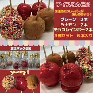 Ice Apple Candy 3 вида, установленные 6 штук (2 простых шоколада Inbo / Cinnamon) БЕСПЛАТНАЯ ДОСТАВКА [9305]