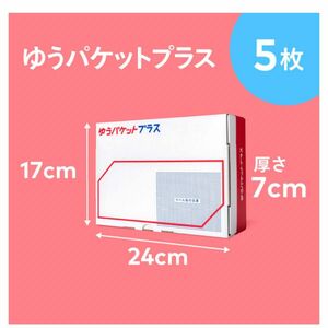 ！ラスト1セット！　ゆうパケットプラス専用ボックス　BOX 専用箱　5枚　梱包資材　ラッピング　包装　ゆうパケット　宅急便　ヤマト