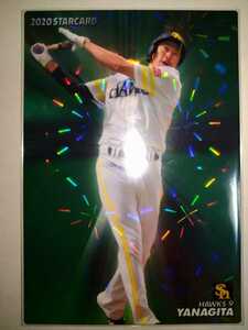 柳田悠岐　20 カルビープロ野球チップス　スターカード　ソフトバンクホークス