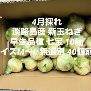 兵庫県 淡路島産 4月採れ 新玉ねぎ M～L 10kg早生品種 七宝 40個前後