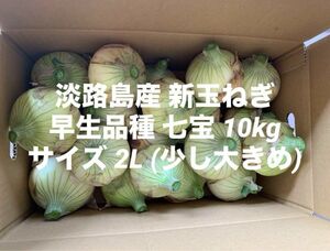 兵庫県 淡路島産 新玉ねぎ サイズ 2L 少し大きめ 10kg 早生品種 七宝