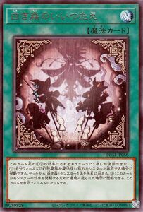 遊戯王カード 白き森のいいつたえ(レア) インフィニット・フォビドゥン（INFO） 通常魔法 レア