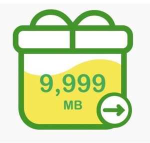 マイネオ　パケットギフト10GB