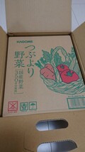 KAGOME つぶより野菜 195g×30本 1ケース_画像6