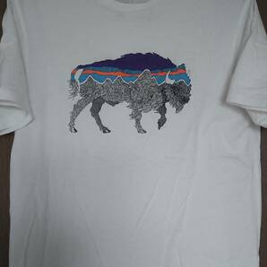【売切り】パタゴニア フィッツロイ・バイソン・オーガニックコットン・Tシャツ メンズS 白 美品 格安出品の画像1