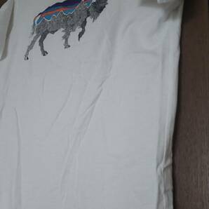 【売切り】パタゴニア フィッツロイ・バイソン・オーガニックコットン・Tシャツ メンズS 白 美品 格安出品の画像2