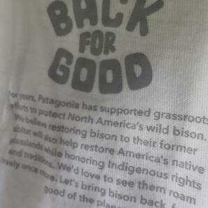 【売切り】パタゴニア フィッツロイ・バイソン・オーガニックコットン・Tシャツ メンズS 白 美品 格安出品の画像7