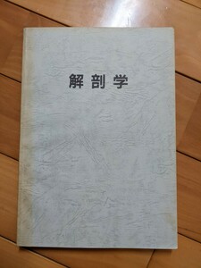 解剖学　著者名記載なし　グレイ