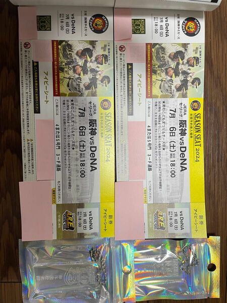 2024年7月6日（ 土 ）甲子園球場 阪神タイガース対DeNA戦 アイビーシートチケット２枚連番 夏のこどもまつりKIDSハッピ