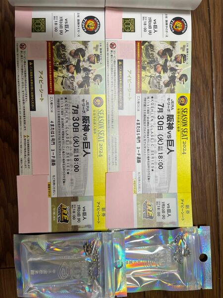 2024年7月30日（ 火 ）甲子園球場 阪神タイガース対巨人戦 アイビーシートチケット２枚連番 100周年記念