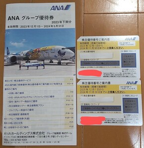 送料込み！全日空 ANA 株主優待券２枚　有効期限は２０２４年１１月３０日までご搭乗可能/ イエロー