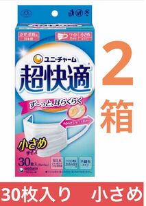 超快適マスク 風邪・花粉用マスク日本製 小さめサイズ 30枚入　2箱