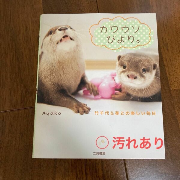 カワウソびより。竹千代&葵との楽しい毎日