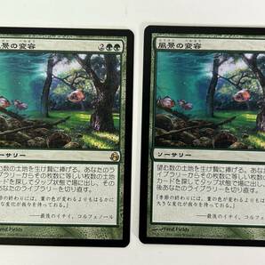 H15◆風景の変容 Scapeshift◆MTG マジックザギャザリング 日本語 2枚 モーニングタイド MORの画像1