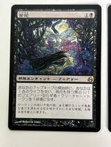 H14◆苦花 Bitterblossom◆MTG マジックザギャザリング 日本語 2枚 モーニングタイド MOR_画像2