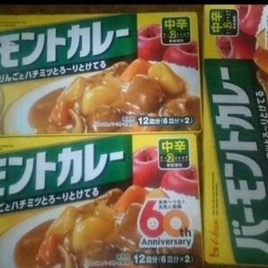 ハウス バーモントカレー 中辛