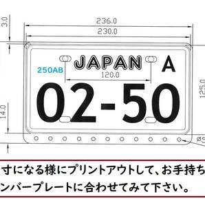 250ccなどAB★大型バイク★アルミ製ナンバープレートフレームAB★下部14mmはみ出し★飾り穴付★0415★送料込みの画像3