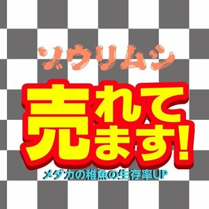 ゾウリムシ　2000ml＋餌付き　ミジンコ PSB おとひめ ヒメダカ 生クロレラでも育つ 公式LINEサポート付き